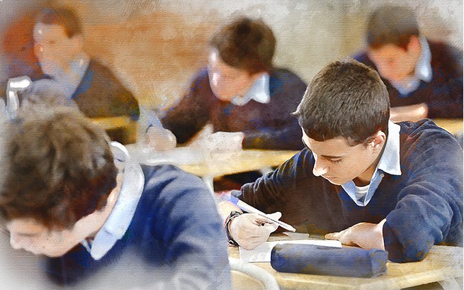 Students with high intellectual capacities